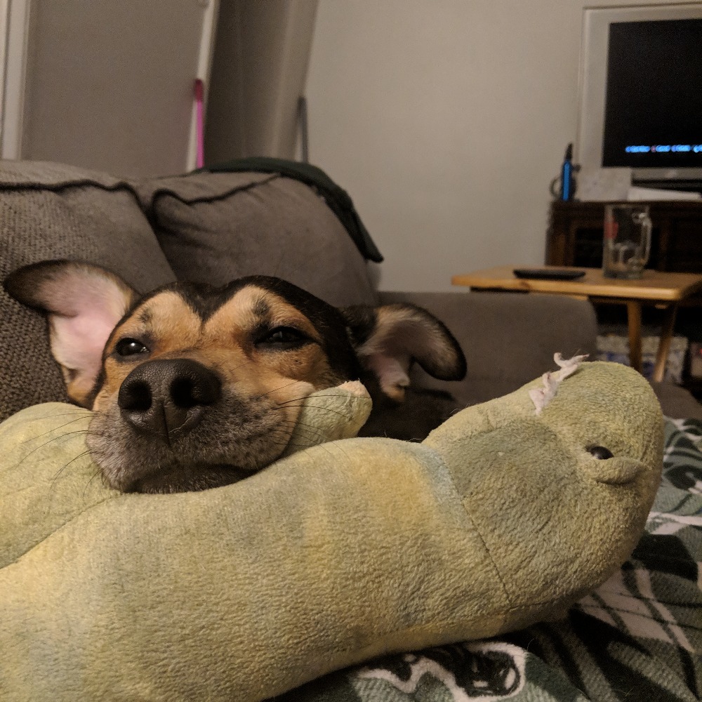 Meet your Posher, Keera